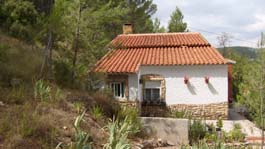 Requena Property